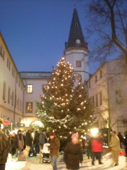 Weihnachtsbaum 