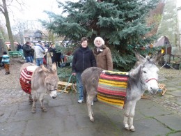 Esel zum Weihnachtsmarkt